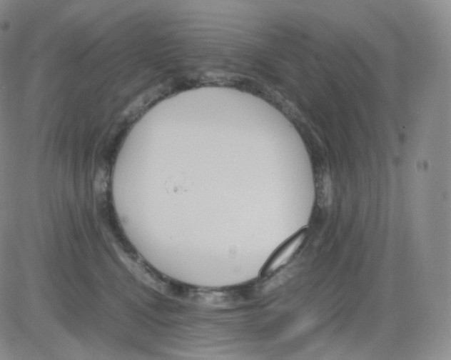 X0000082700472200702232235