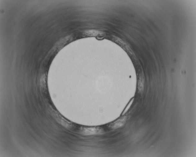 X0000082700473200702232235