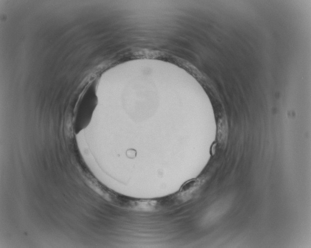 X0000082700474200702232235