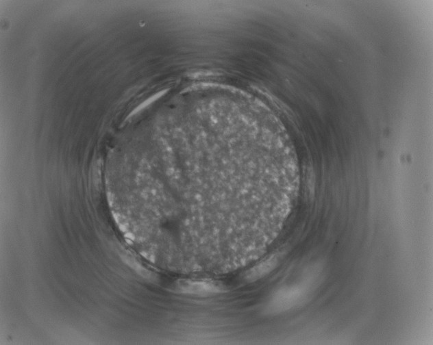 X0000082700475200702232235