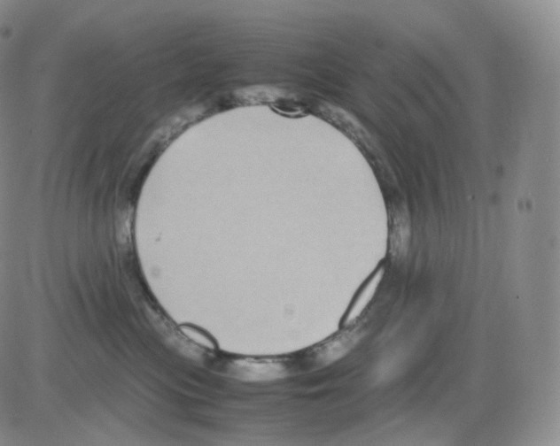 X0000082700477200702232235