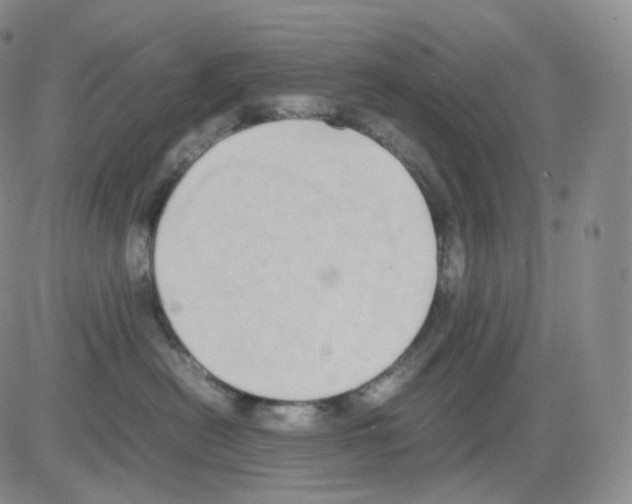 X0000082700478200702232235