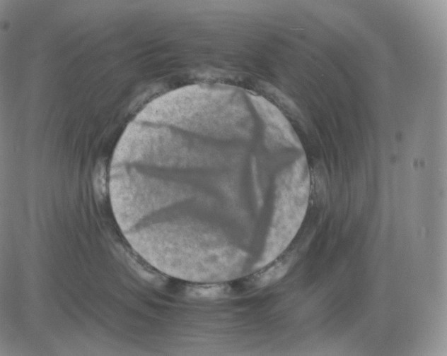 X0000082700479200702232235