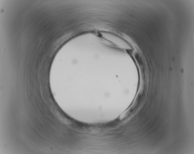 X0000082700481200702232234