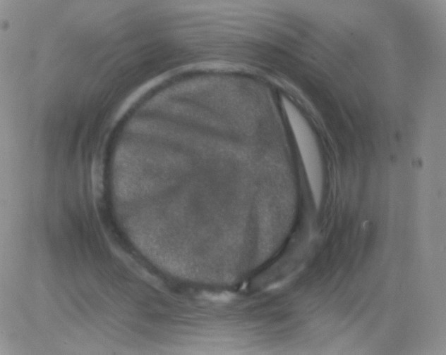 X0000082700484200702232234