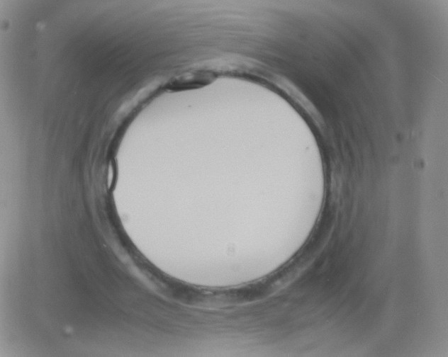 X0000082700485200702232234