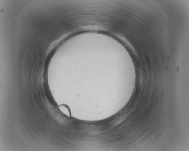 X0000082700486200702232234