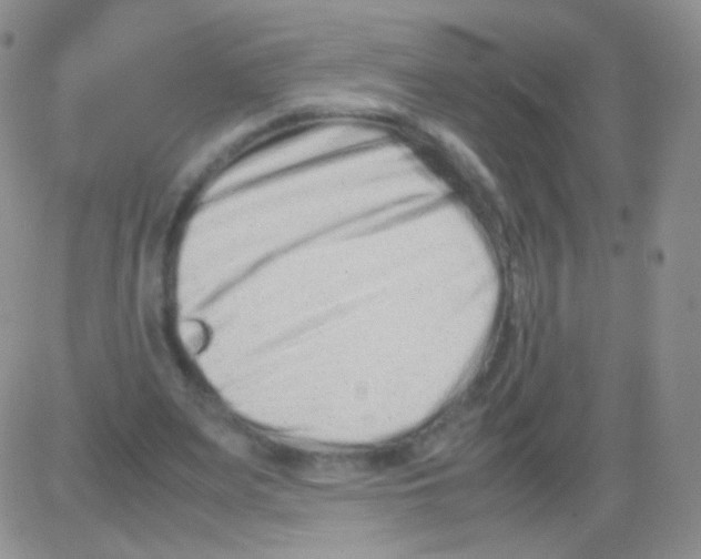 X0000082700487200702232234