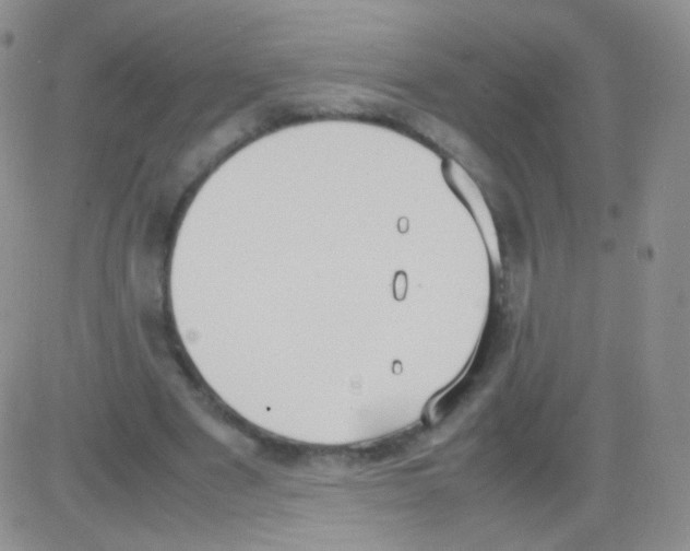 X0000082700489200702232234