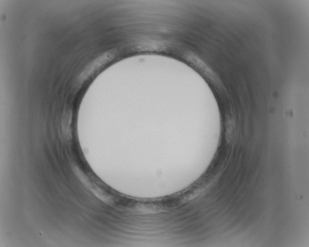 X0000082700490200702232234