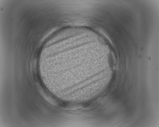 X0000082700491200702232234