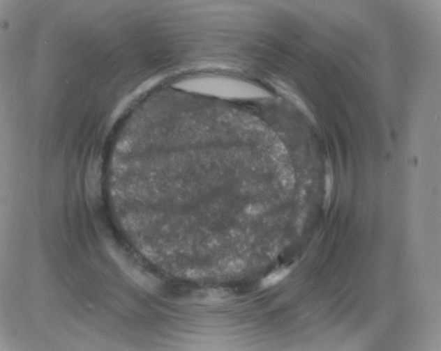 X0000082700492200702232234