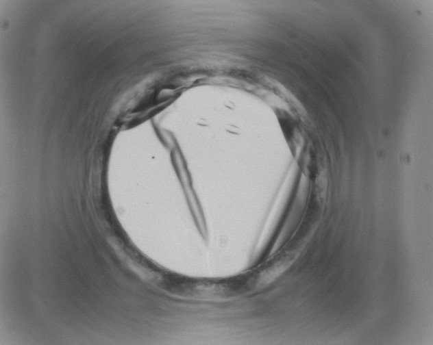 X0000082700493200702232234