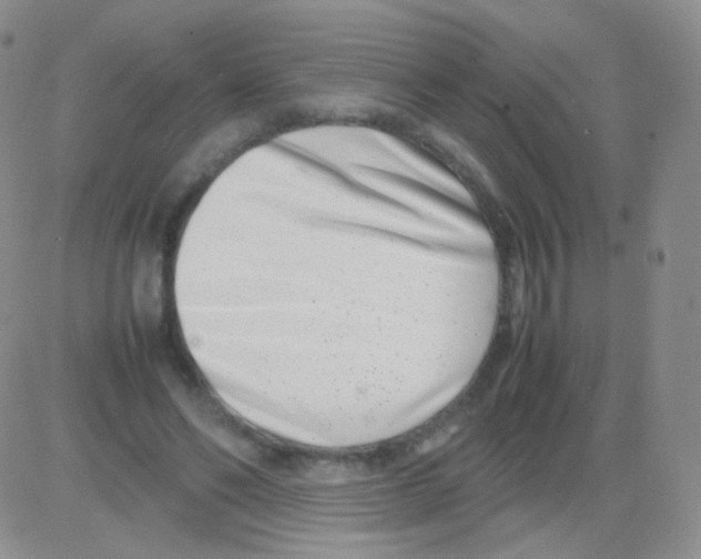 X0000082700494200702232234