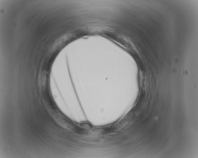 X0000082700495200702232234