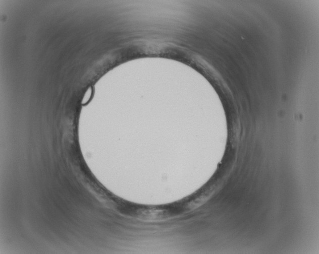 X0000082700497200702232234