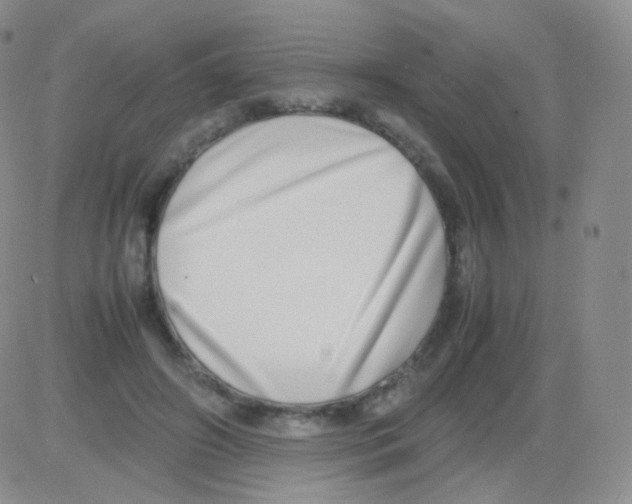 X0000082700498200702232234