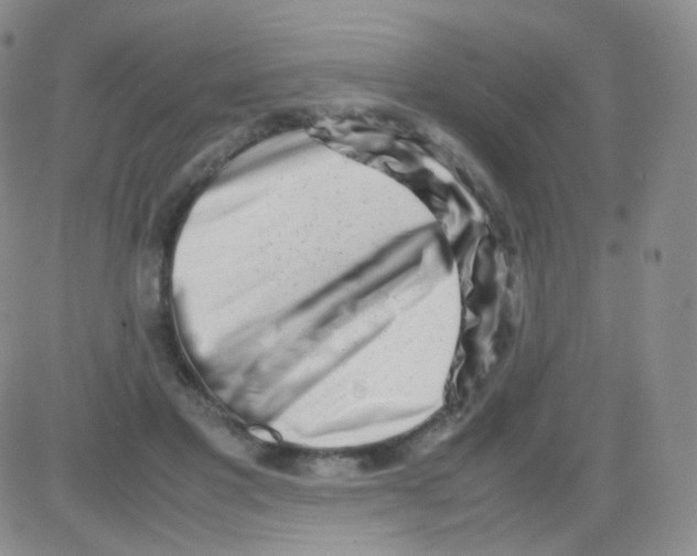 X0000082700501200702232234