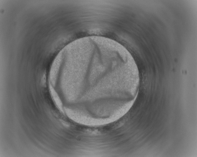 X0000082700502200702232234