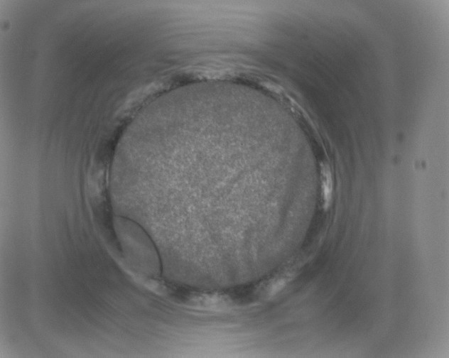 X0000082700503200702232234