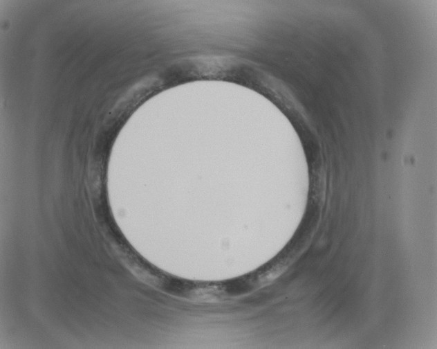 X0000082700505200702232234