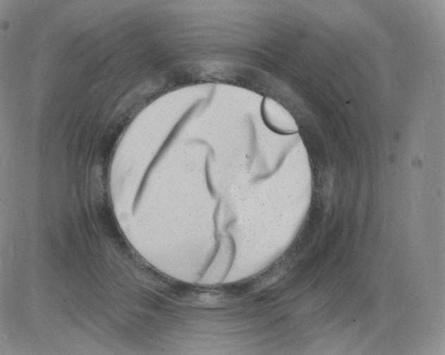 X0000082700506200702232234