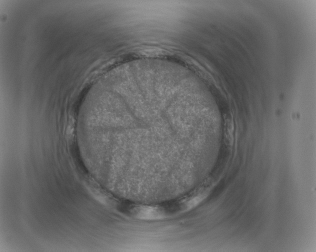 X0000082700507200702232234