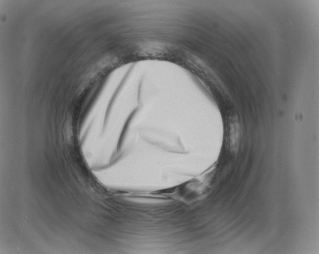 X0000082700508200702232234