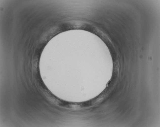 X0000082700509200702232234