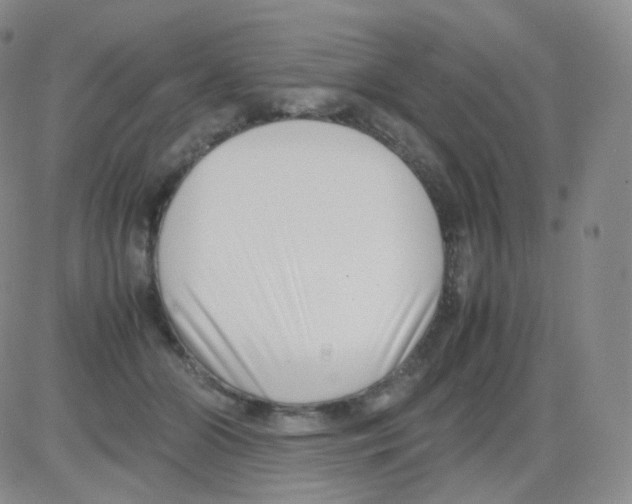 X0000082700510200702232234