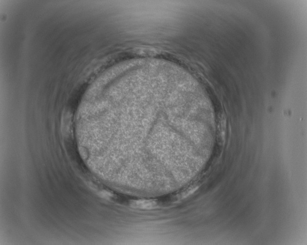 X0000082700511200702232234