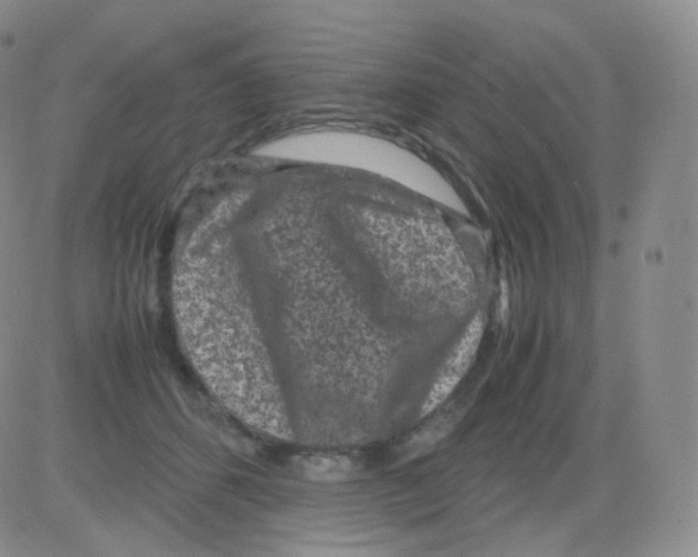 X0000082700512200702232233