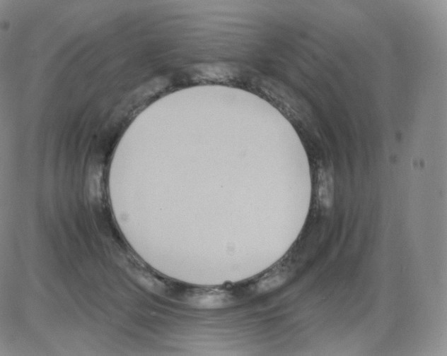 X0000082700514200702232233