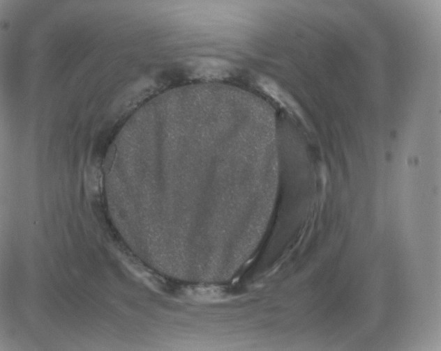 X0000082700517200702232233