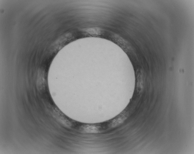 X0000082700518200702232233