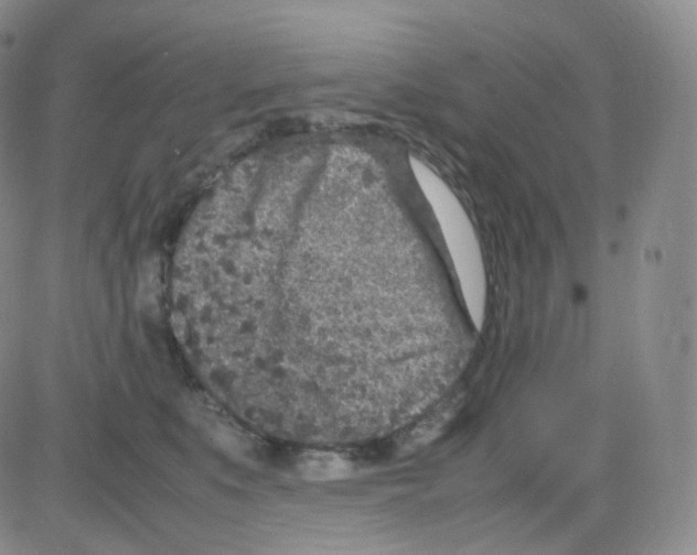 X0000082700519200702232233