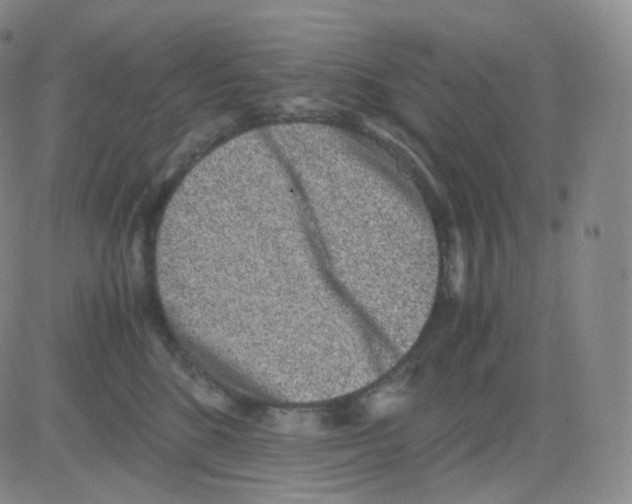 X0000082700520200702232233