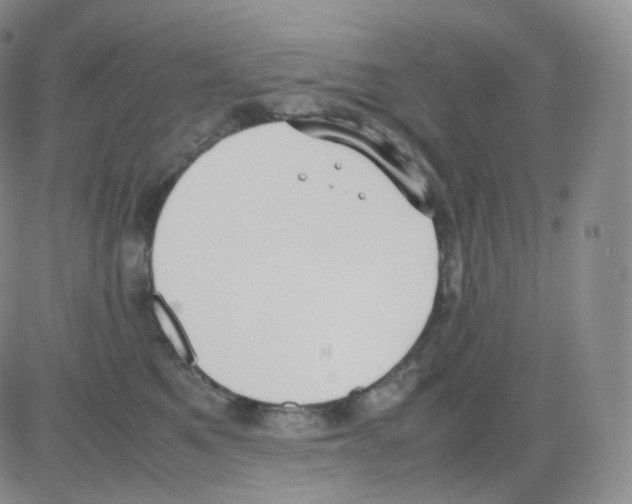 X0000082700521200702232233