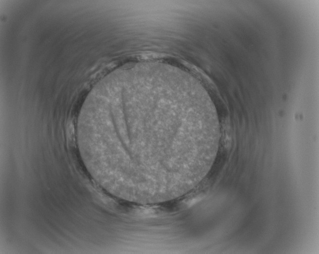 X0000082700523200702232233