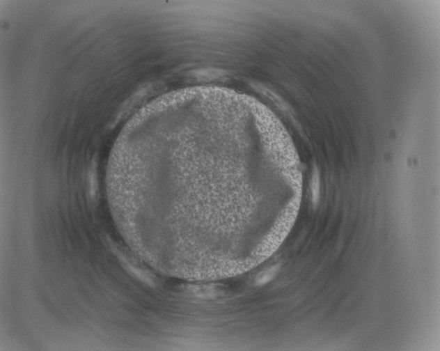 X0000082700524200702232233