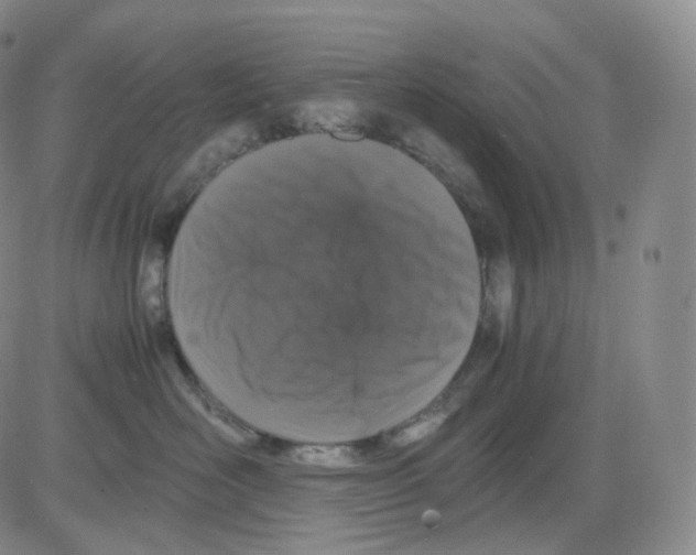 X0000082700526200702232233