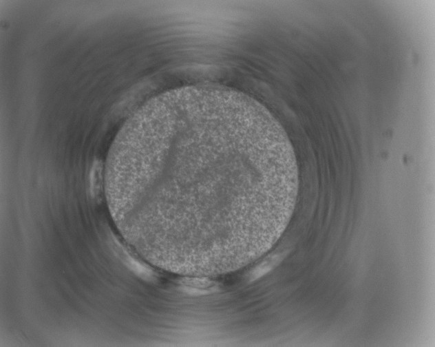 X0000082700528200702232233