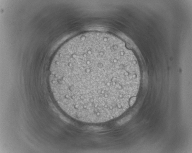 X0000082700529200702232232