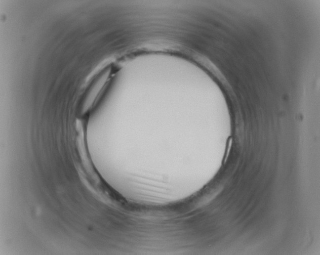 X0000082700530200702232232