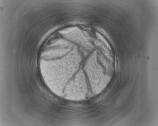 X0000082700531200702232232