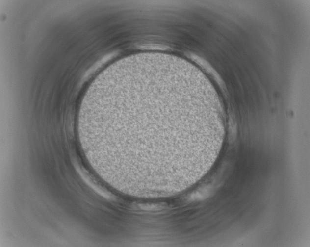 X0000082700533200702232232