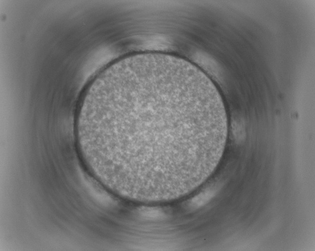 X0000082700534200702232232