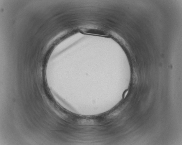 X0000082700535200702232233