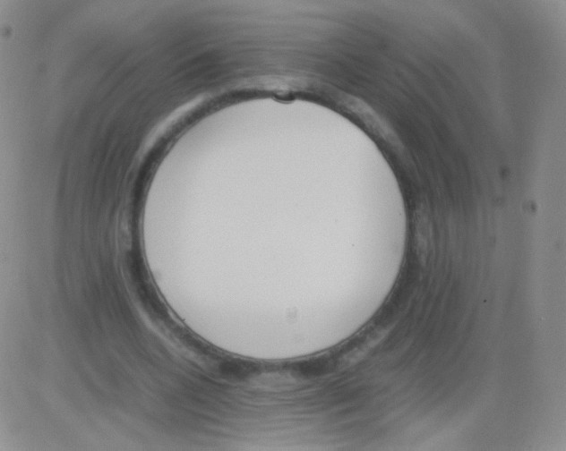 X0000082700536200702232233