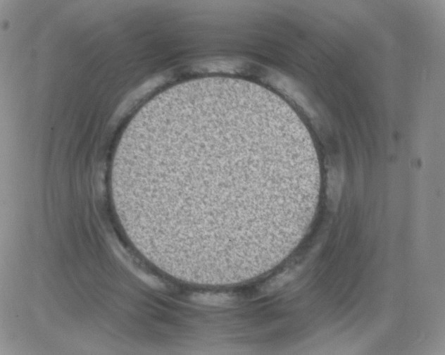 X0000082700537200702232233